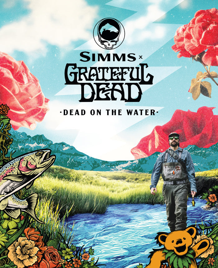Dead on the Water