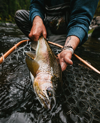 Fishing T-shirts and hoodies.