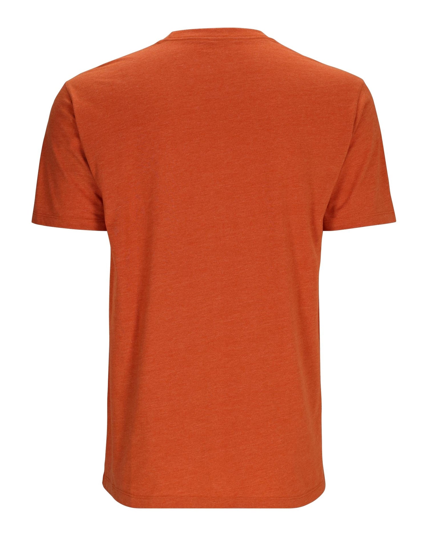 14095-799-Fly-Patch-T-Shirt-Mannequin-S24-Back