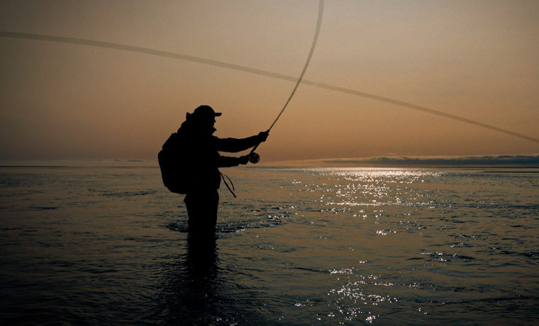 Cabela's Rogue Fly Rod