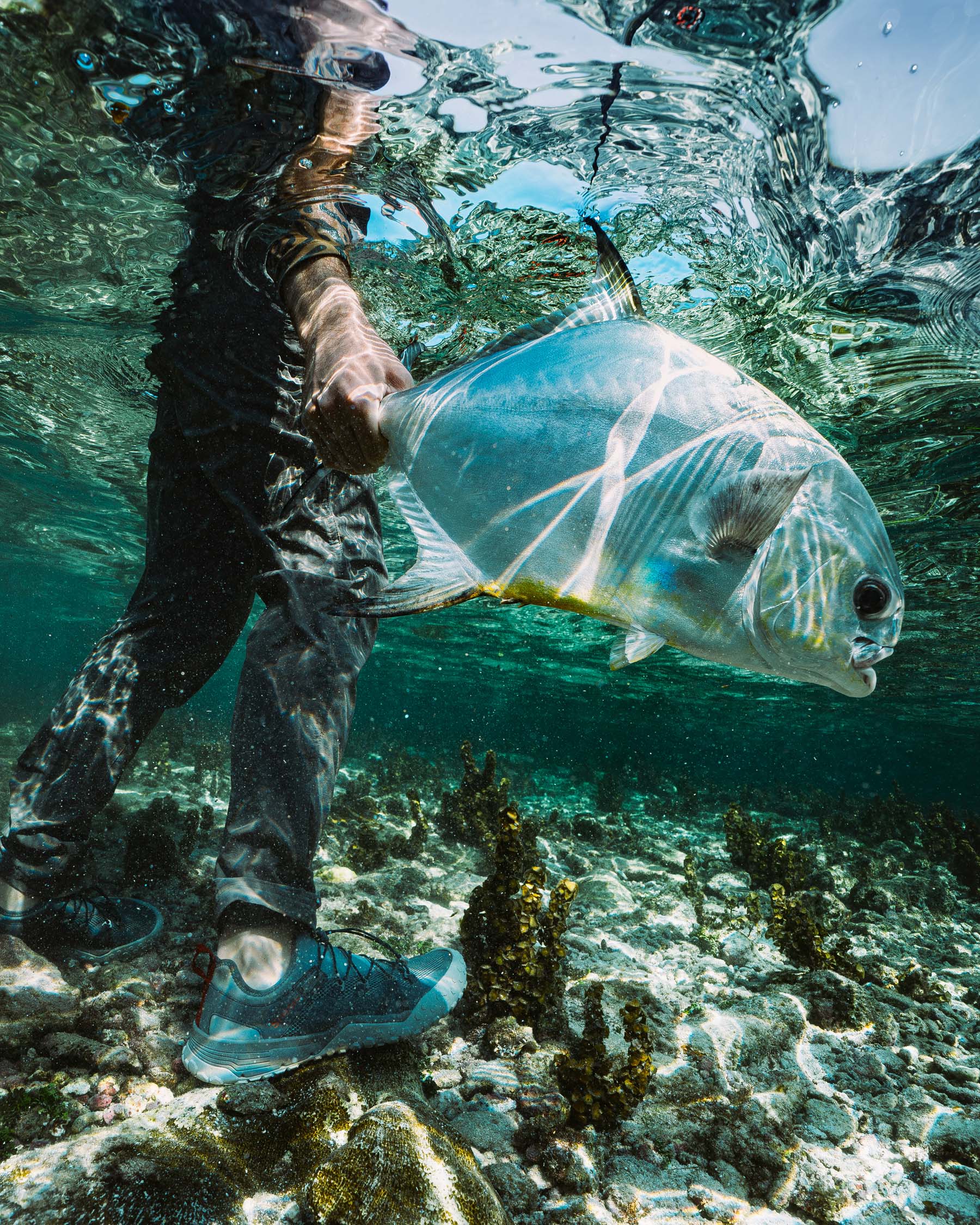 Fishing Gear Seasonal Guide | Simms Fishing