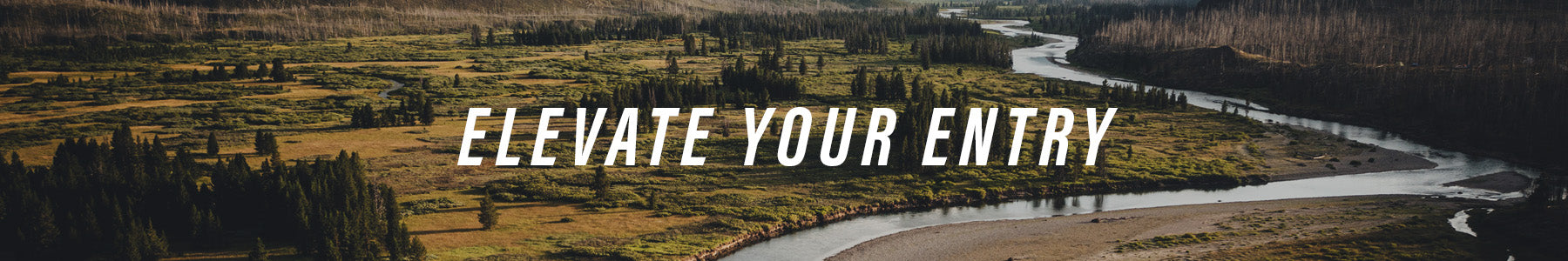 Elevate Your Entry