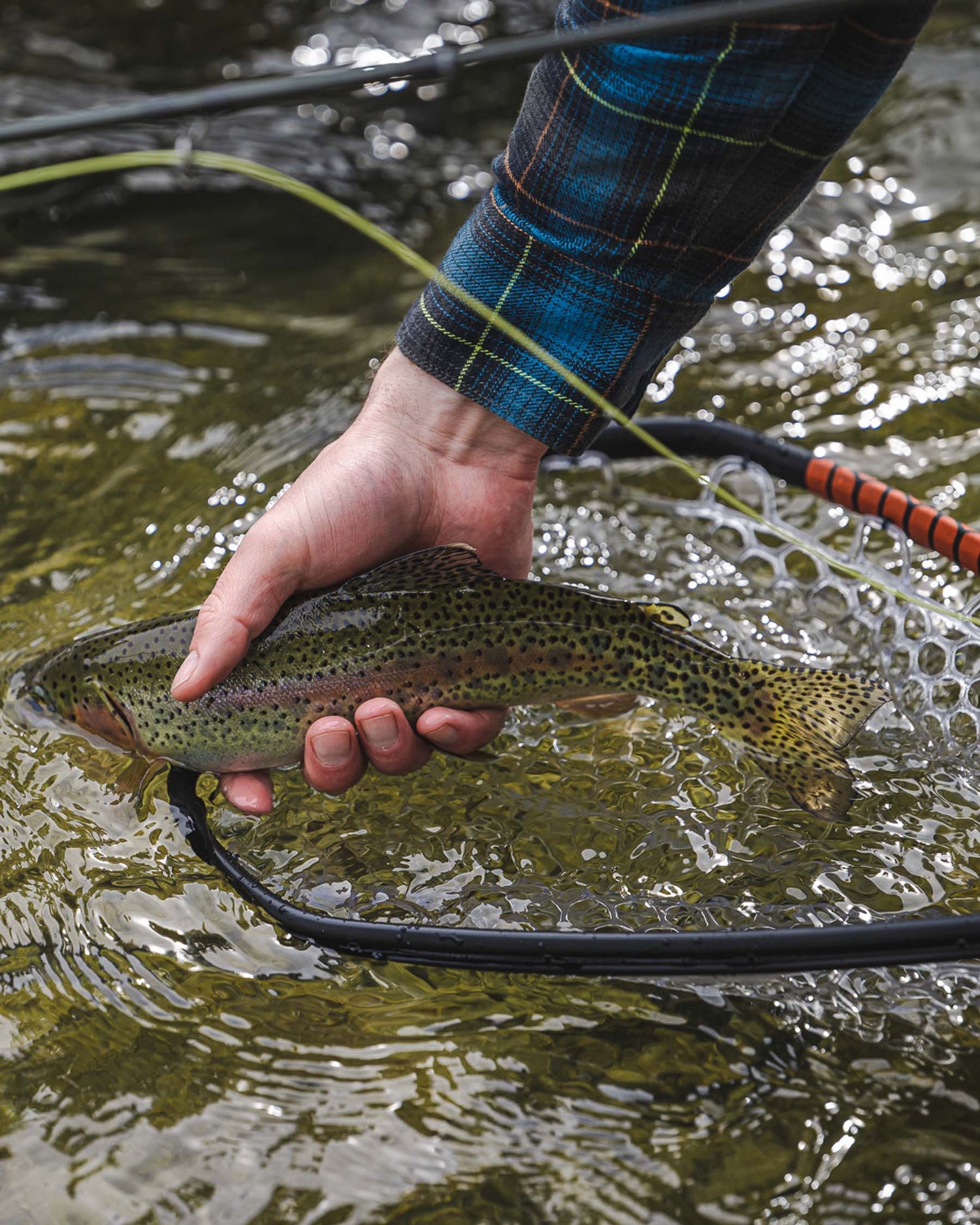 Daymaker Landing Net -Small